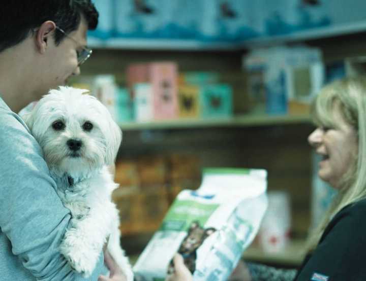 Dog with owner being held in vet reception